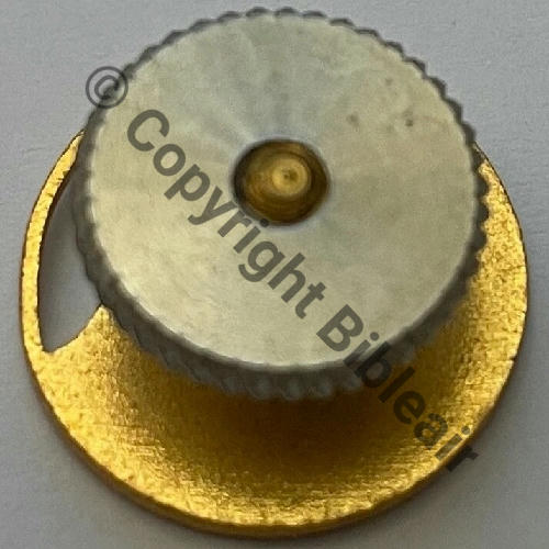 AJM Ancien Jeunesse et Montagne  SM Recent Molette Dos irreg scintillant EMAIL ou RESINE TRANSLUCIDE 16mm Src.historiacollection2a PV12Eur 